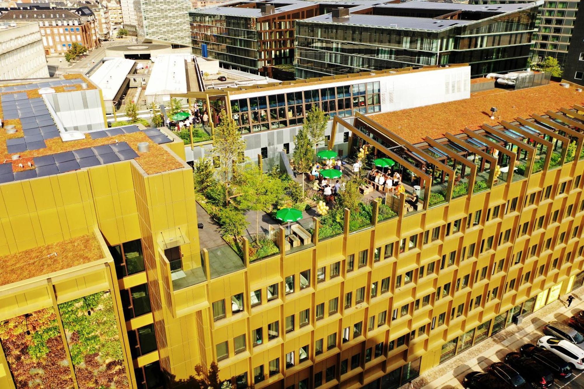 Next House Copenhagen Hostel Exterior photo The building's rooftop garden